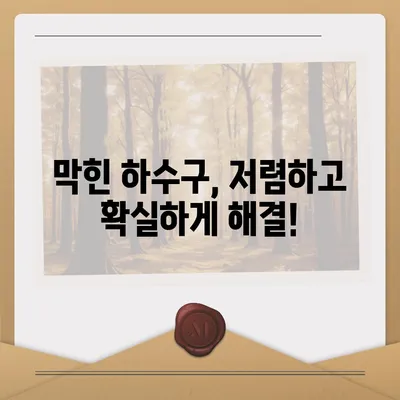 경기도 의왕시 내손2동 하수구막힘 | 가격 | 비용 | 기름제거 | 싱크대 | 변기 | 세면대 | 역류 | 냄새차단 | 2024 후기