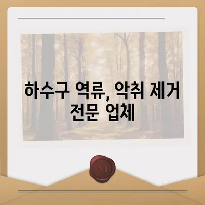 경기도 의왕시 내손2동 하수구막힘 | 가격 | 비용 | 기름제거 | 싱크대 | 변기 | 세면대 | 역류 | 냄새차단 | 2024 후기