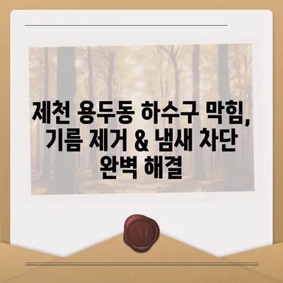 충청북도 제천시 용두동 하수구막힘 | 가격 | 비용 | 기름제거 | 싱크대 | 변기 | 세면대 | 역류 | 냄새차단 | 2024 후기