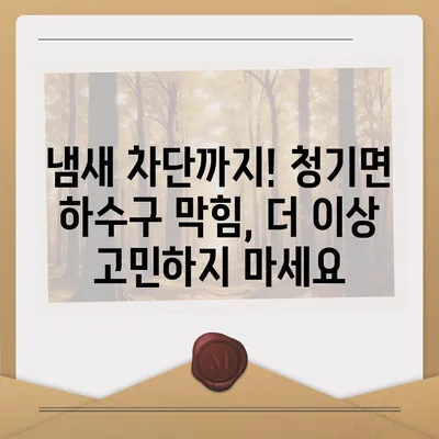 경상북도 영양군 청기면 하수구막힘 | 가격 | 비용 | 기름제거 | 싱크대 | 변기 | 세면대 | 역류 | 냄새차단 | 2024 후기