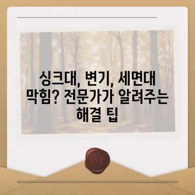 경기도 남양주시 금곡동 하수구막힘 | 가격 | 비용 | 기름제거 | 싱크대 | 변기 | 세면대 | 역류 | 냄새차단 | 2024 후기