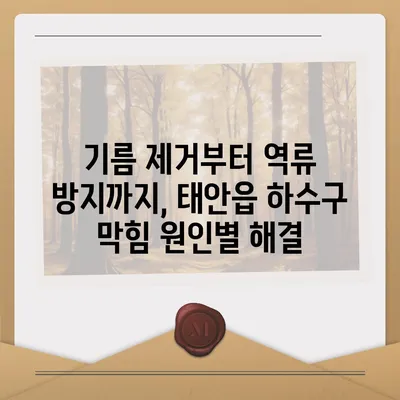 충청남도 태안군 태안읍 하수구막힘 | 가격 | 비용 | 기름제거 | 싱크대 | 변기 | 세면대 | 역류 | 냄새차단 | 2024 후기