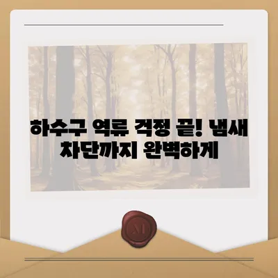 경상북도 김천시 자산동 하수구막힘 | 가격 | 비용 | 기름제거 | 싱크대 | 변기 | 세면대 | 역류 | 냄새차단 | 2024 후기