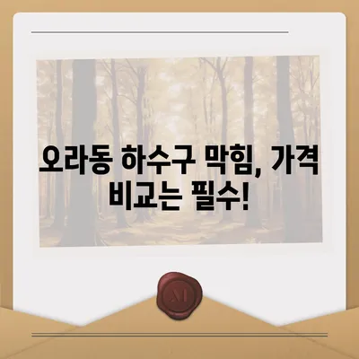 제주도 제주시 오라동 하수구막힘 | 가격 | 비용 | 기름제거 | 싱크대 | 변기 | 세면대 | 역류 | 냄새차단 | 2024 후기