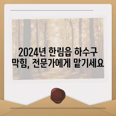 제주도 제주시 한림읍 하수구막힘 | 가격 | 비용 | 기름제거 | 싱크대 | 변기 | 세면대 | 역류 | 냄새차단 | 2024 후기