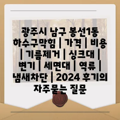 광주시 남구 봉선1동 하수구막힘 | 가격 | 비용 | 기름제거 | 싱크대 | 변기 | 세면대 | 역류 | 냄새차단 | 2024 후기