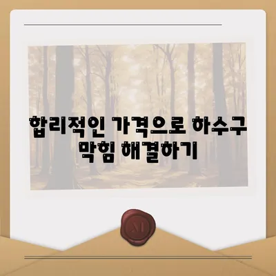 충청북도 충주시 지현동 하수구막힘 | 가격 | 비용 | 기름제거 | 싱크대 | 변기 | 세면대 | 역류 | 냄새차단 | 2024 후기