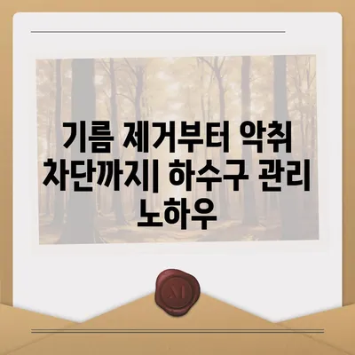 전라북도 군산시 문화동 하수구막힘 | 가격 | 비용 | 기름제거 | 싱크대 | 변기 | 세면대 | 역류 | 냄새차단 | 2024 후기