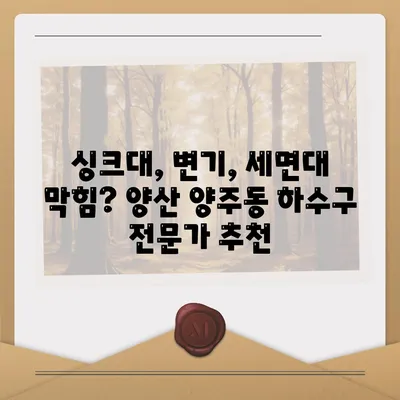 경상남도 양산시 양주동 하수구막힘 | 가격 | 비용 | 기름제거 | 싱크대 | 변기 | 세면대 | 역류 | 냄새차단 | 2024 후기