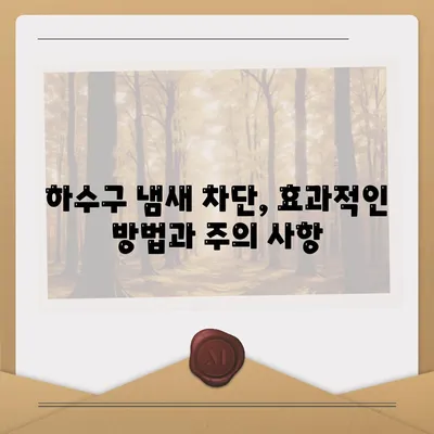 광주시 서구 상무1동 하수구막힘 | 가격 | 비용 | 기름제거 | 싱크대 | 변기 | 세면대 | 역류 | 냄새차단 | 2024 후기