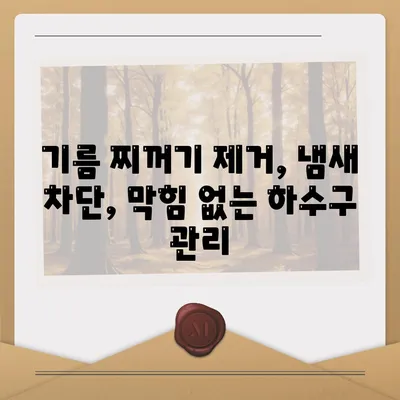 경기도 양평군 옥천면 하수구막힘 | 가격 | 비용 | 기름제거 | 싱크대 | 변기 | 세면대 | 역류 | 냄새차단 | 2024 후기