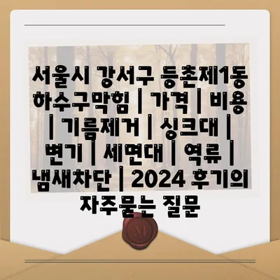 서울시 강서구 등촌제1동 하수구막힘 | 가격 | 비용 | 기름제거 | 싱크대 | 변기 | 세면대 | 역류 | 냄새차단 | 2024 후기