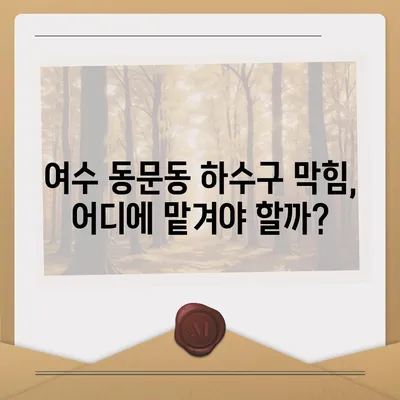 전라남도 여수시 동문동 하수구막힘 | 가격 | 비용 | 기름제거 | 싱크대 | 변기 | 세면대 | 역류 | 냄새차단 | 2024 후기