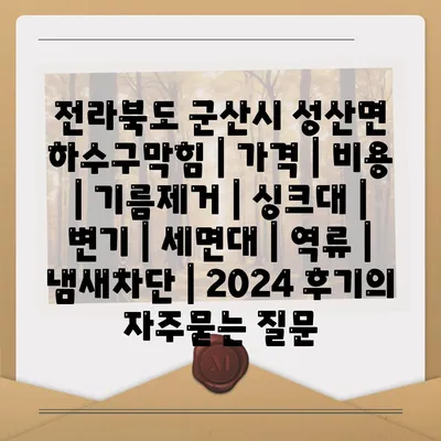 전라북도 군산시 성산면 하수구막힘 | 가격 | 비용 | 기름제거 | 싱크대 | 변기 | 세면대 | 역류 | 냄새차단 | 2024 후기