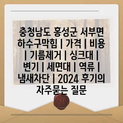 충청남도 홍성군 서부면 하수구막힘 | 가격 | 비용 | 기름제거 | 싱크대 | 변기 | 세면대 | 역류 | 냄새차단 | 2024 후기