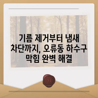 대전시 중구 오류동 하수구막힘 | 가격 | 비용 | 기름제거 | 싱크대 | 변기 | 세면대 | 역류 | 냄새차단 | 2024 후기