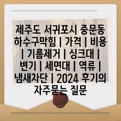 제주도 서귀포시 중문동 하수구막힘 | 가격 | 비용 | 기름제거 | 싱크대 | 변기 | 세면대 | 역류 | 냄새차단 | 2024 후기