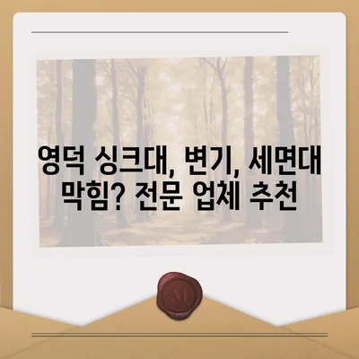 경상북도 영덕군 영덕읍 하수구막힘 | 가격 | 비용 | 기름제거 | 싱크대 | 변기 | 세면대 | 역류 | 냄새차단 | 2024 후기