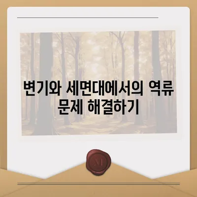 경기도 광주시 광남2동 하수구막힘 | 가격 | 비용 | 기름제거 | 싱크대 | 변기 | 세면대 | 역류 | 냄새차단 | 2024 후기