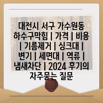 대전시 서구 가수원동 하수구막힘 | 가격 | 비용 | 기름제거 | 싱크대 | 변기 | 세면대 | 역류 | 냄새차단 | 2024 후기