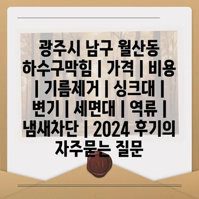 광주시 남구 월산동 하수구막힘 | 가격 | 비용 | 기름제거 | 싱크대 | 변기 | 세면대 | 역류 | 냄새차단 | 2024 후기