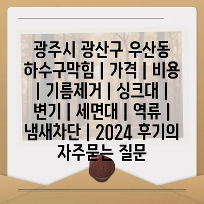 광주시 광산구 우산동 하수구막힘 | 가격 | 비용 | 기름제거 | 싱크대 | 변기 | 세면대 | 역류 | 냄새차단 | 2024 후기