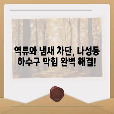 세종시 세종특별자치시 나성동 하수구막힘 | 가격 | 비용 | 기름제거 | 싱크대 | 변기 | 세면대 | 역류 | 냄새차단 | 2024 후기