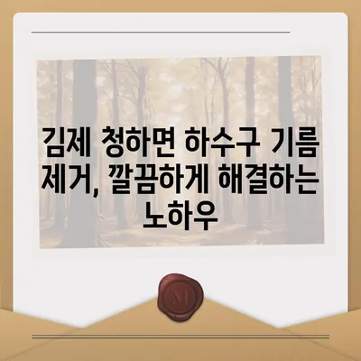 전라북도 김제시 청하면 하수구막힘 | 가격 | 비용 | 기름제거 | 싱크대 | 변기 | 세면대 | 역류 | 냄새차단 | 2024 후기