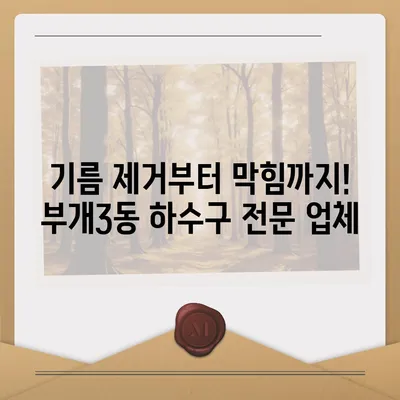 인천시 부평구 부개3동 하수구막힘 | 가격 | 비용 | 기름제거 | 싱크대 | 변기 | 세면대 | 역류 | 냄새차단 | 2024 후기