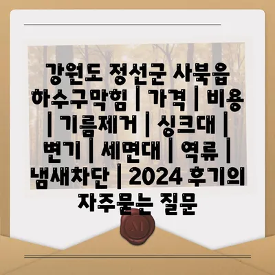 강원도 정선군 사북읍 하수구막힘 | 가격 | 비용 | 기름제거 | 싱크대 | 변기 | 세면대 | 역류 | 냄새차단 | 2024 후기