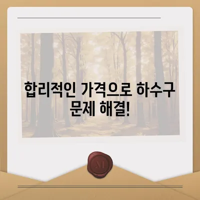 대구시 달성군 하빈면 하수구막힘 | 가격 | 비용 | 기름제거 | 싱크대 | 변기 | 세면대 | 역류 | 냄새차단 | 2024 후기