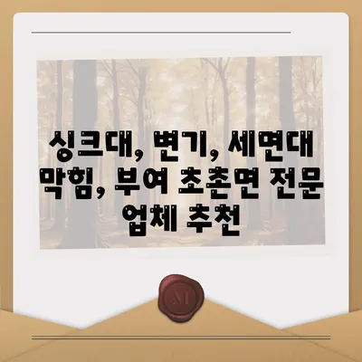 충청남도 부여군 초촌면 하수구막힘 | 가격 | 비용 | 기름제거 | 싱크대 | 변기 | 세면대 | 역류 | 냄새차단 | 2024 후기