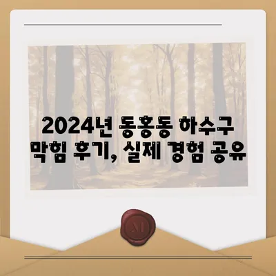 제주도 서귀포시 동홍동 하수구막힘 | 가격 | 비용 | 기름제거 | 싱크대 | 변기 | 세면대 | 역류 | 냄새차단 | 2024 후기