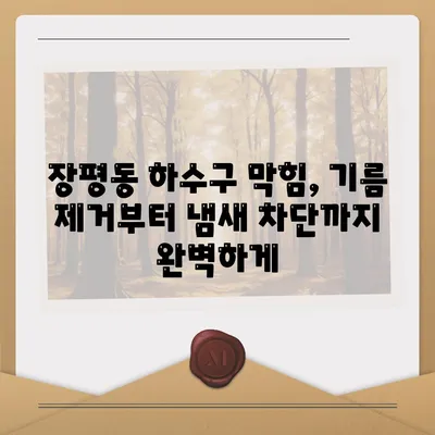 경상남도 거제시 장평동 하수구막힘 | 가격 | 비용 | 기름제거 | 싱크대 | 변기 | 세면대 | 역류 | 냄새차단 | 2024 후기