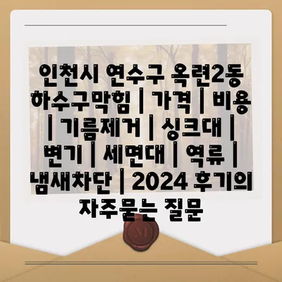 인천시 연수구 옥련2동 하수구막힘 | 가격 | 비용 | 기름제거 | 싱크대 | 변기 | 세면대 | 역류 | 냄새차단 | 2024 후기