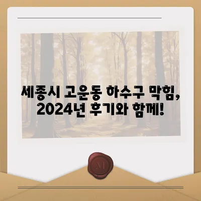 세종시 세종특별자치시 고운동 하수구막힘 | 가격 | 비용 | 기름제거 | 싱크대 | 변기 | 세면대 | 역류 | 냄새차단 | 2024 후기