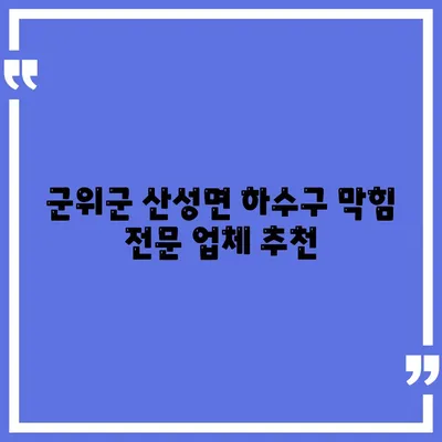 경상북도 군위군 산성면 하수구막힘 | 가격 | 비용 | 기름제거 | 싱크대 | 변기 | 세면대 | 역류 | 냄새차단 | 2024 후기