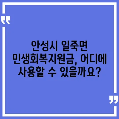 경기도 안성시 일죽면 민생회복지원금 | 신청 | 신청방법 | 대상 | 지급일 | 사용처 | 전국민 | 이재명 | 2024