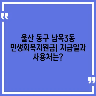 울산시 동구 남목3동 민생회복지원금 | 신청 | 신청방법 | 대상 | 지급일 | 사용처 | 전국민 | 이재명 | 2024