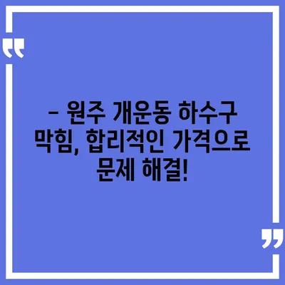 강원도 원주시 개운동 하수구막힘 | 가격 | 비용 | 기름제거 | 싱크대 | 변기 | 세면대 | 역류 | 냄새차단 | 2024 후기