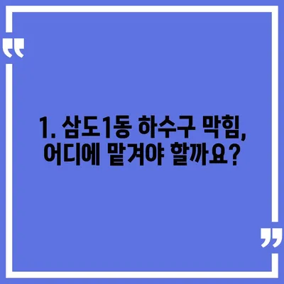 제주도 제주시 삼도1동 하수구막힘 | 가격 | 비용 | 기름제거 | 싱크대 | 변기 | 세면대 | 역류 | 냄새차단 | 2024 후기