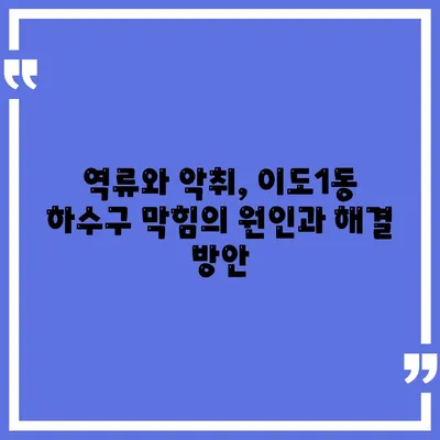 제주도 제주시 이도1동 하수구막힘 | 가격 | 비용 | 기름제거 | 싱크대 | 변기 | 세면대 | 역류 | 냄새차단 | 2024 후기