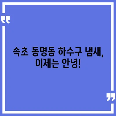 강원도 속초시 동명동 하수구막힘 | 가격 | 비용 | 기름제거 | 싱크대 | 변기 | 세면대 | 역류 | 냄새차단 | 2024 후기