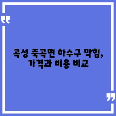 전라남도 곡성군 죽곡면 하수구막힘 | 가격 | 비용 | 기름제거 | 싱크대 | 변기 | 세면대 | 역류 | 냄새차단 | 2024 후기