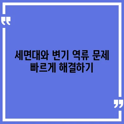 광주시 북구 동림동 하수구막힘 | 가격 | 비용 | 기름제거 | 싱크대 | 변기 | 세면대 | 역류 | 냄새차단 | 2024 후기