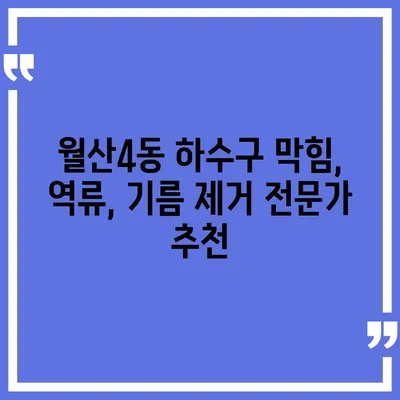 광주시 남구 월산4동 하수구막힘 | 가격 | 비용 | 기름제거 | 싱크대 | 변기 | 세면대 | 역류 | 냄새차단 | 2024 후기