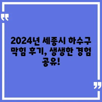 세종시 세종특별자치시 금남면 하수구막힘 | 가격 | 비용 | 기름제거 | 싱크대 | 변기 | 세면대 | 역류 | 냄새차단 | 2024 후기