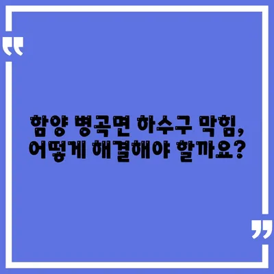 경상남도 함양군 병곡면 하수구막힘 | 가격 | 비용 | 기름제거 | 싱크대 | 변기 | 세면대 | 역류 | 냄새차단 | 2024 후기