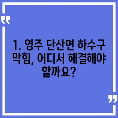 경상북도 영주시 단산면 하수구막힘 | 가격 | 비용 | 기름제거 | 싱크대 | 변기 | 세면대 | 역류 | 냄새차단 | 2024 후기