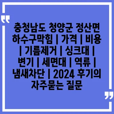 충청남도 청양군 정산면 하수구막힘 | 가격 | 비용 | 기름제거 | 싱크대 | 변기 | 세면대 | 역류 | 냄새차단 | 2024 후기